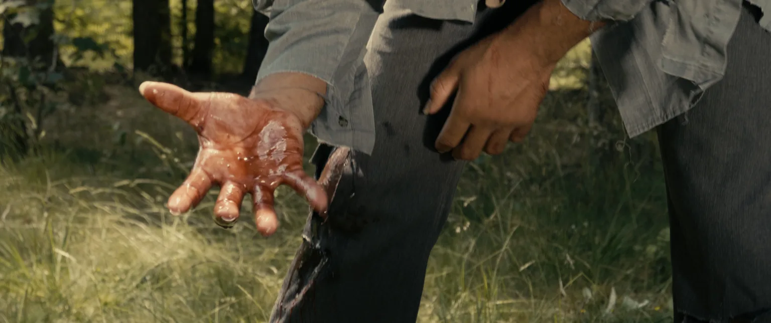 Les Enfants du Docteur Trèves — visuel 12