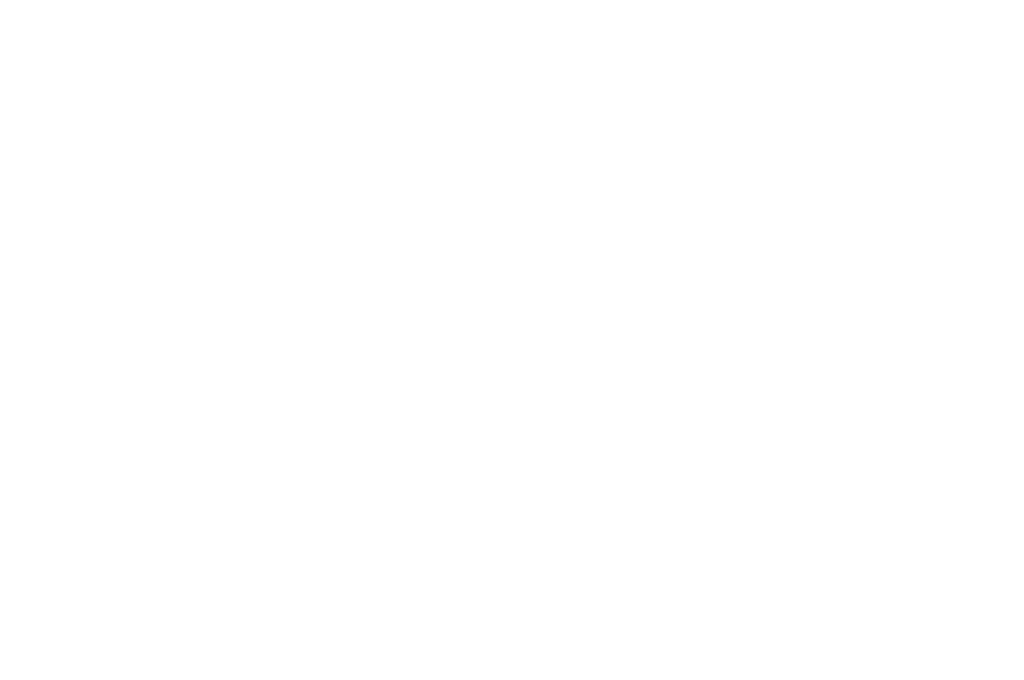 Logo NIKON FILM FESTIVAL 2018