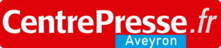 Logo centre presse .fr